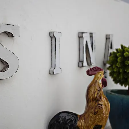 旅馆 Baixa Terrace 法鲁区